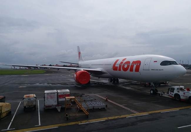 Detail Lion Air Gambar Nomer 40