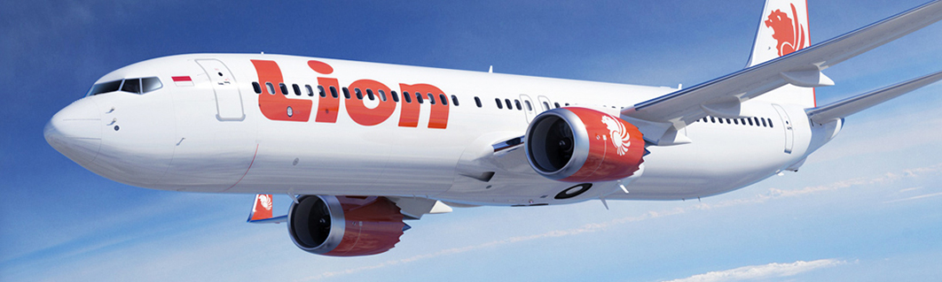 Detail Lion Air Gambar Nomer 46