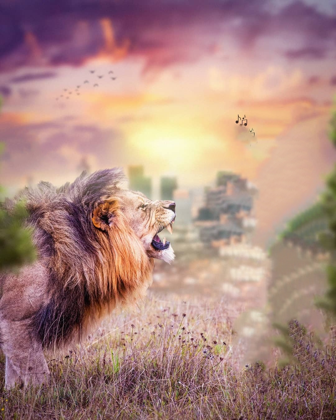 Detail Lion Background Image Nomer 32