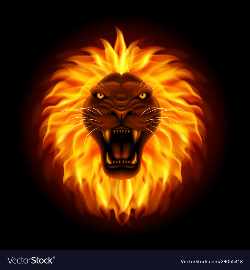 Detail Lion Background Images Nomer 35