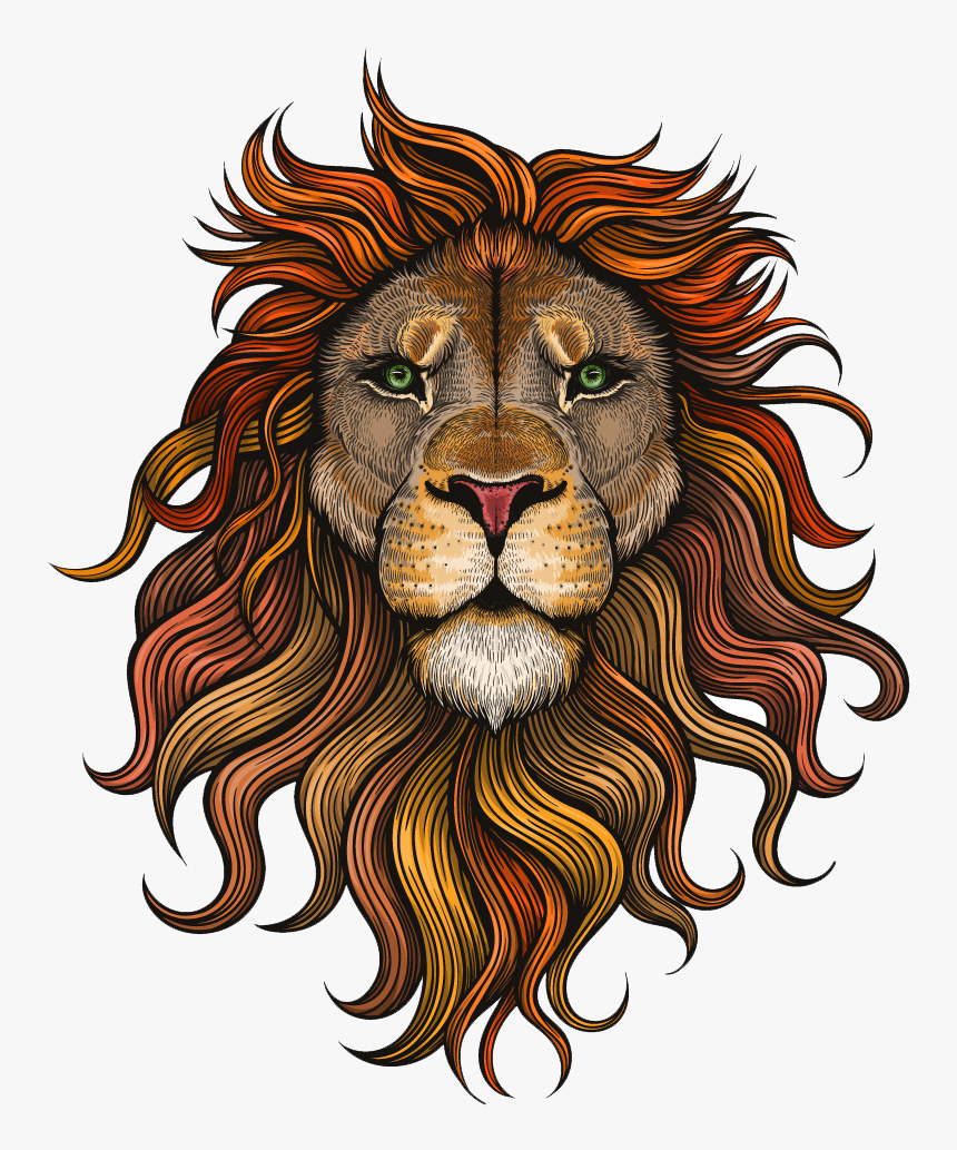 Detail Lion Clear Background Nomer 20