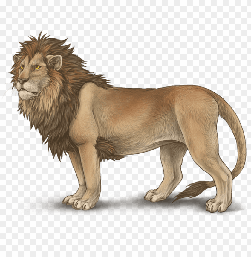 Detail Lion Drawing Png Nomer 11