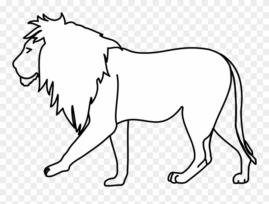 Detail Lion Drawing Png Nomer 30