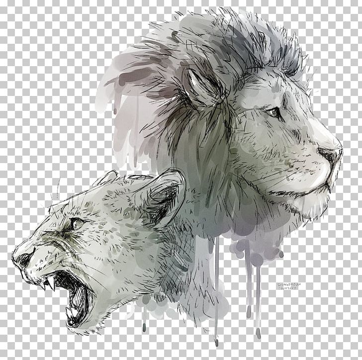 Detail Lion Drawing Png Nomer 31