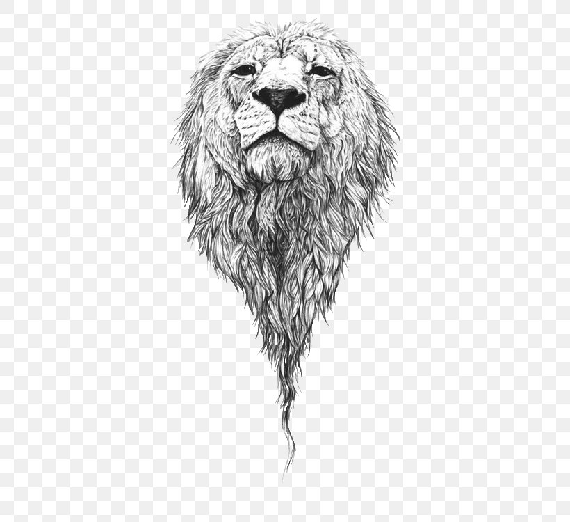 Detail Lion Drawing Png Nomer 41