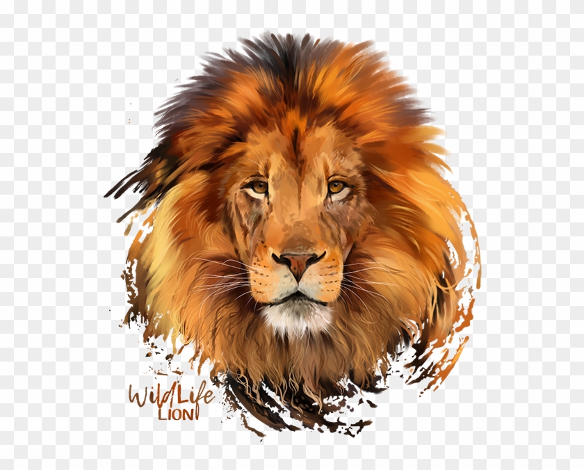 Detail Lion Free Download Nomer 24