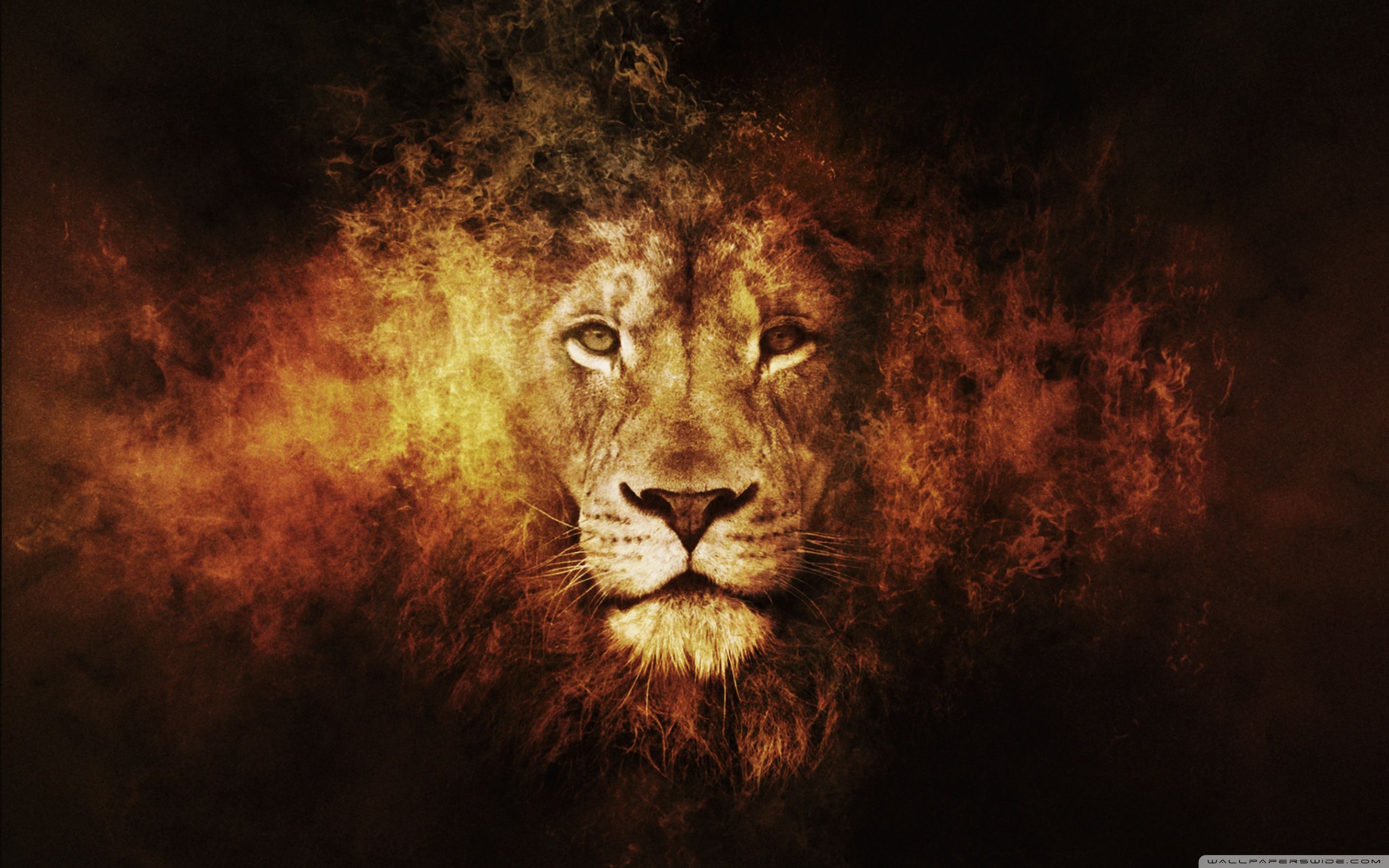 Detail Lion High Resolution Nomer 47