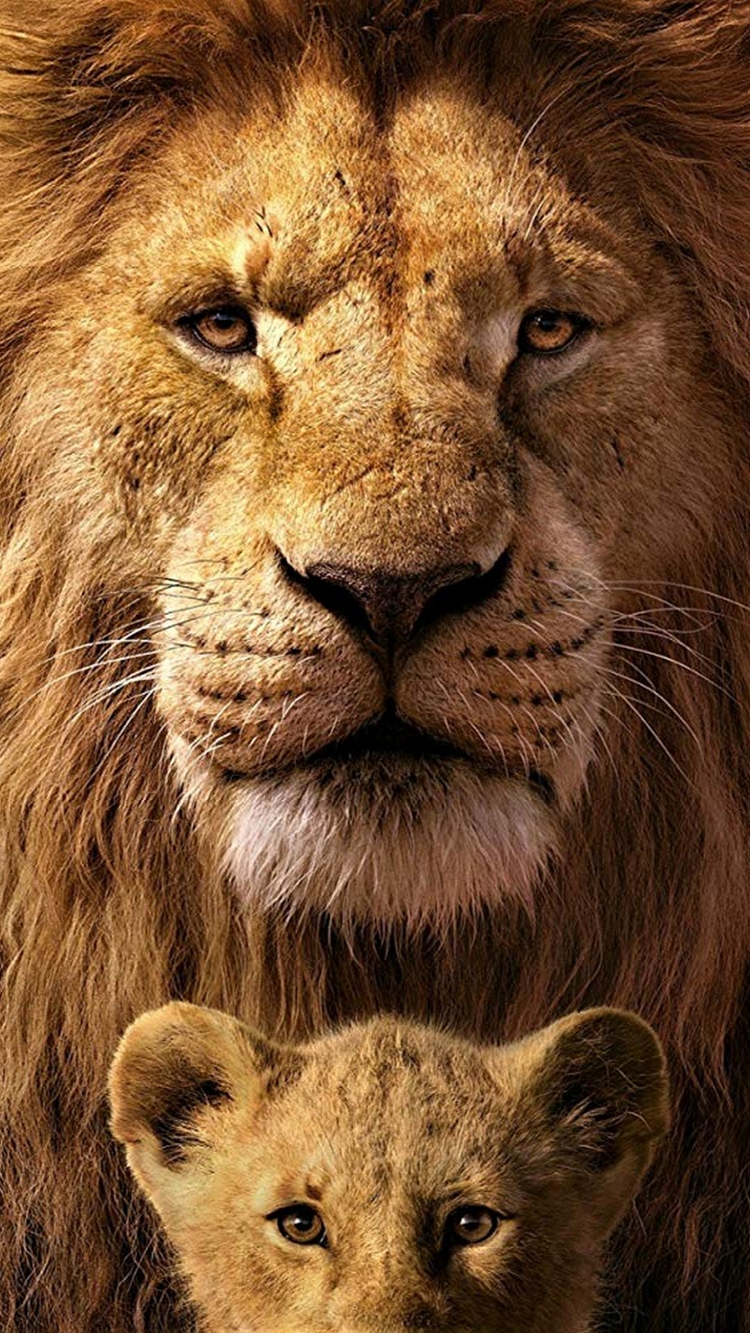 Detail Lion High Resolution Nomer 54