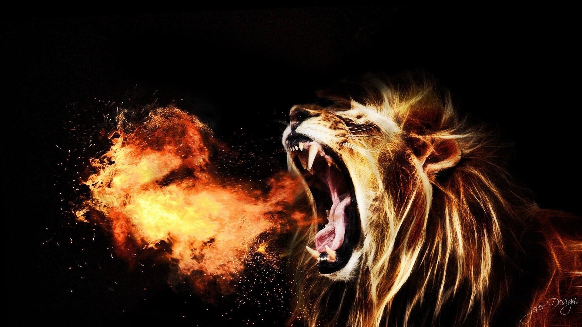 Detail Lion High Resolution Nomer 55