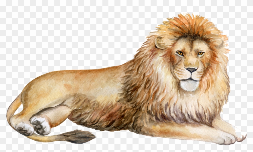 Detail Lion Images Clipart Nomer 45