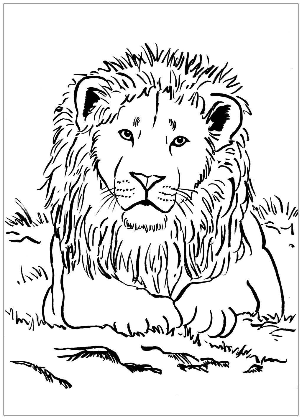Detail Lion Images Free Nomer 33