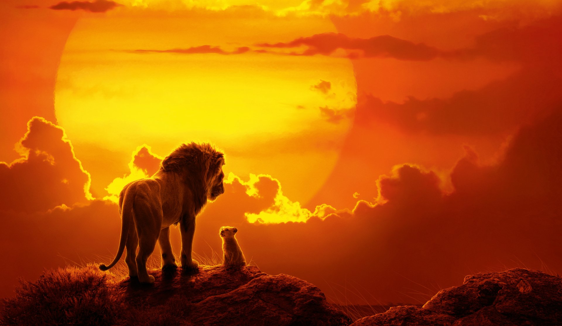 Detail Lion King Background Images Nomer 6