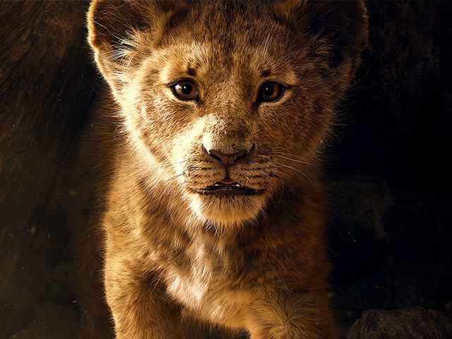 Detail Lion King Images Free Nomer 24