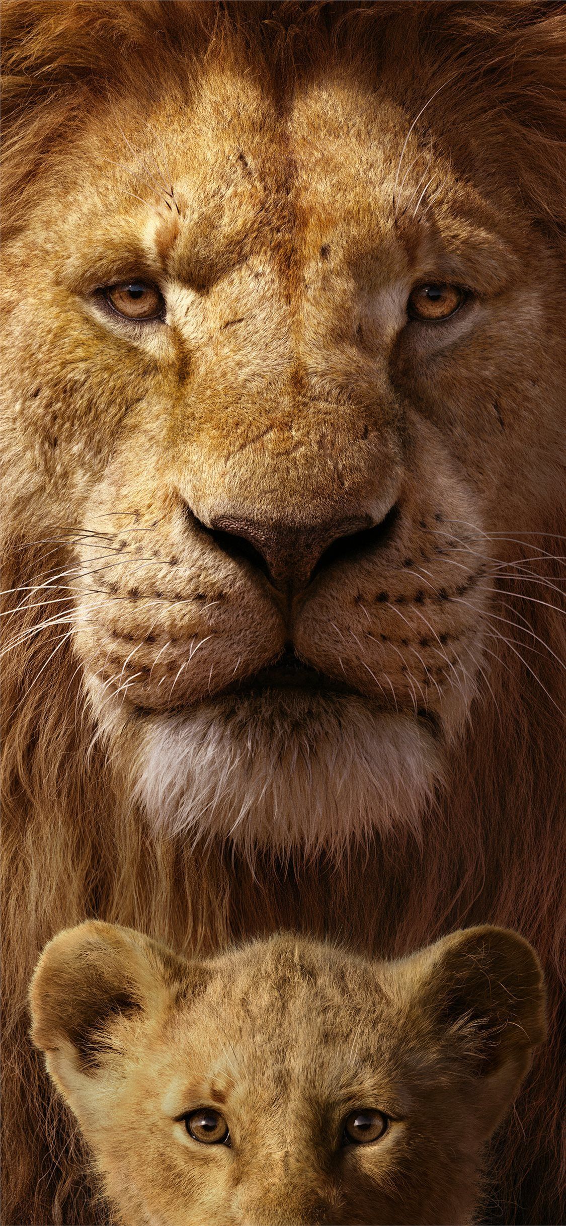 Detail Lion King Images Free Download Nomer 35