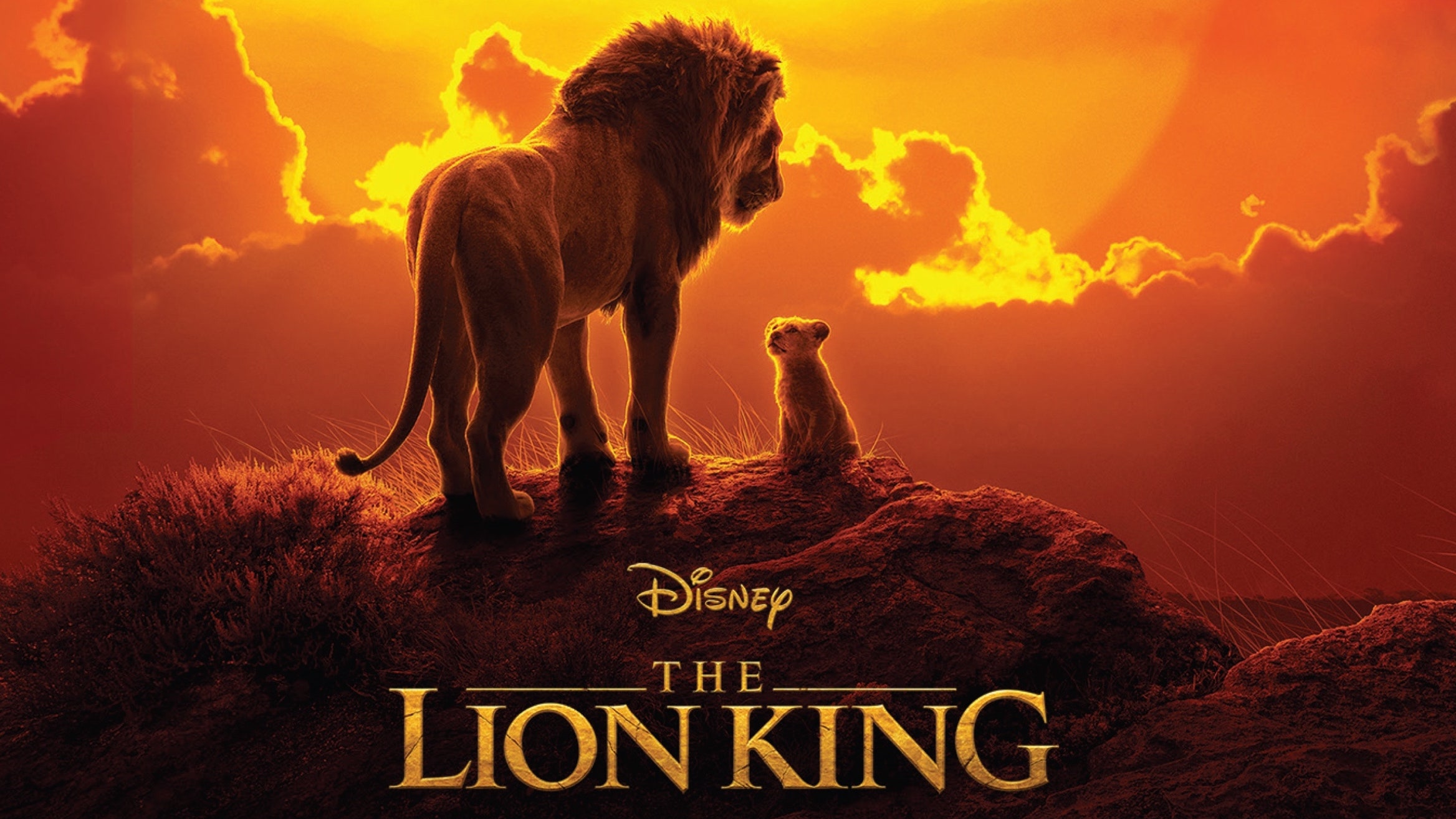 Download Lion King Pichers Nomer 24