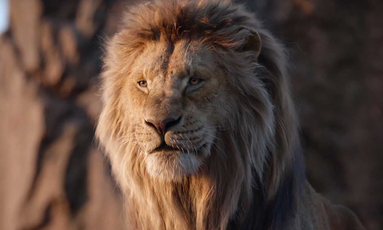 Detail Lion King Pichers Nomer 26