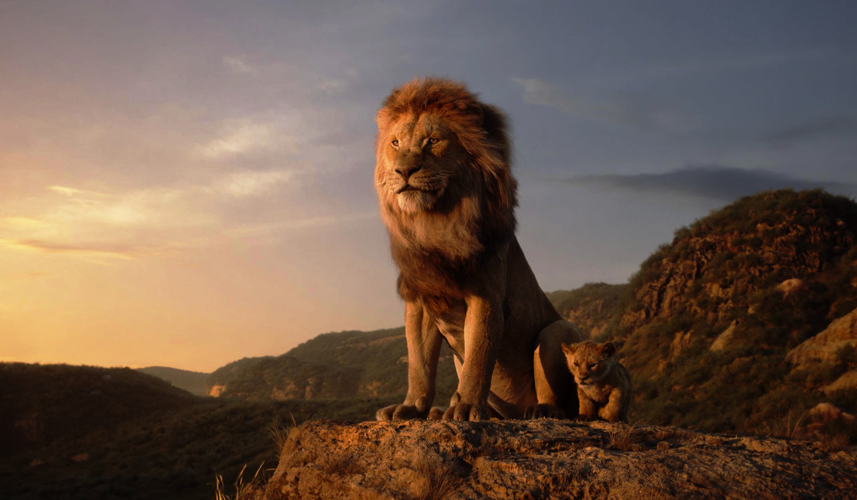 Detail Lion King Wallpaper Hd Nomer 3