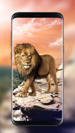 Detail Lion Live Wallpaper Nomer 17