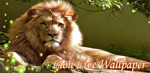 Detail Lion Live Wallpaper Nomer 32