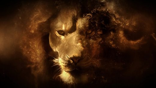 Detail Lion Live Wallpaper Nomer 38