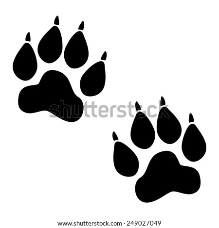 Detail Lion Paw Print Png Nomer 18