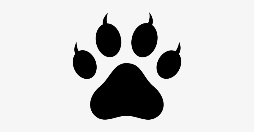 Detail Lion Paw Print Png Nomer 3