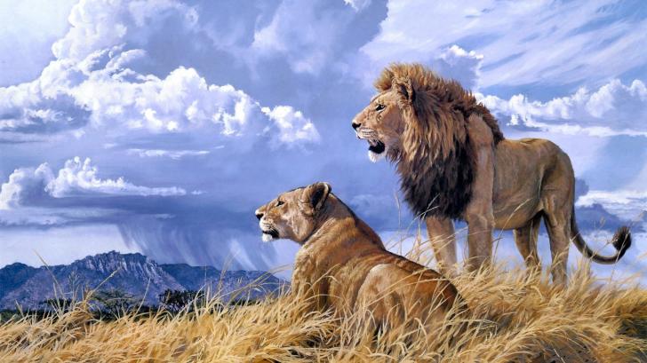 Detail Lion Pic Hd Nomer 44