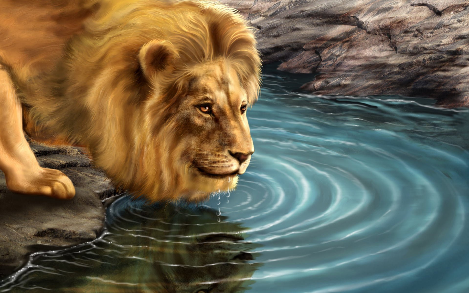 Detail Lion Pictures Download Nomer 36