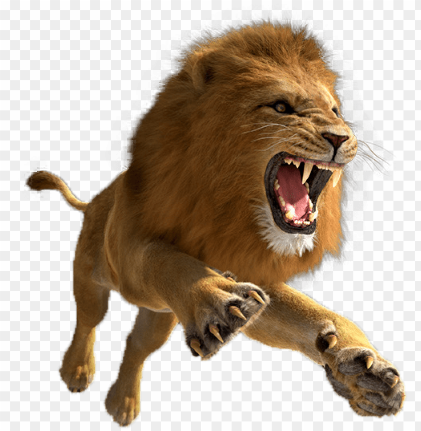 Detail Lion Png Transparent Nomer 14