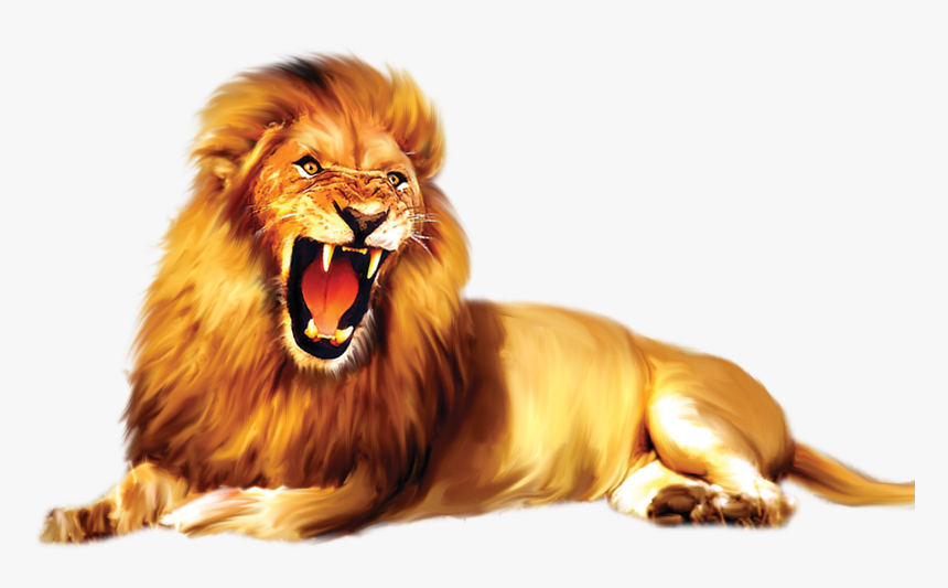 Detail Lion Png Transparent Nomer 30