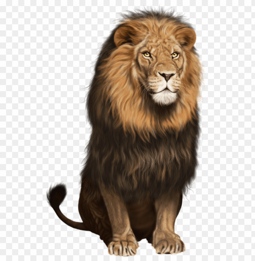 Detail Lion Png Transparent Nomer 9