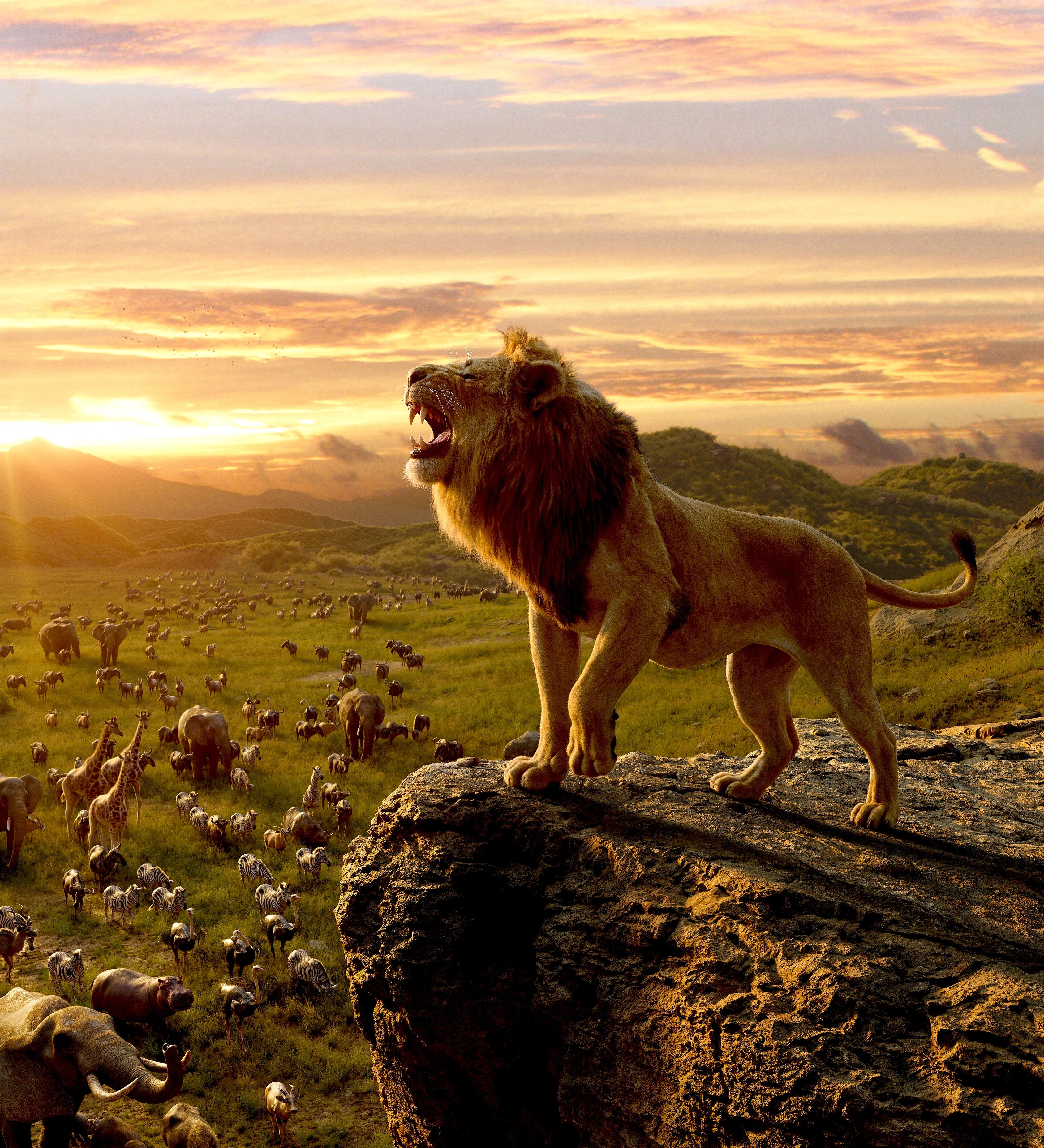 Detail Lion Roar Wallpaper Nomer 20