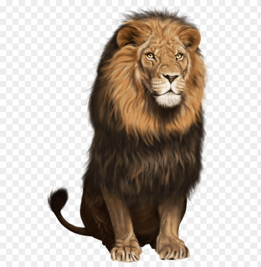 Lion Transparent - KibrisPDR