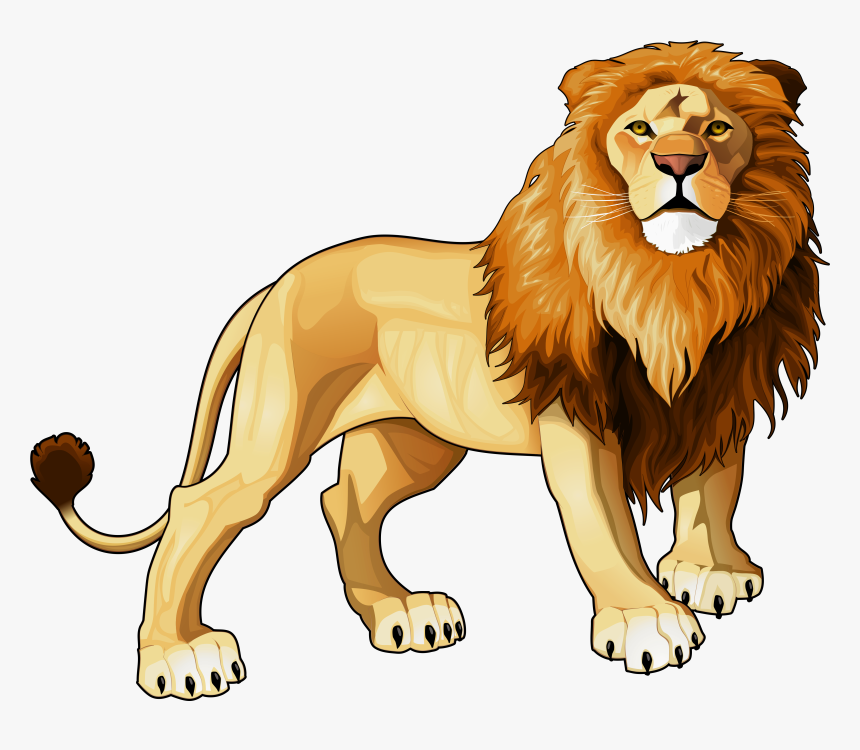 Detail Lion Transparent Png Nomer 49