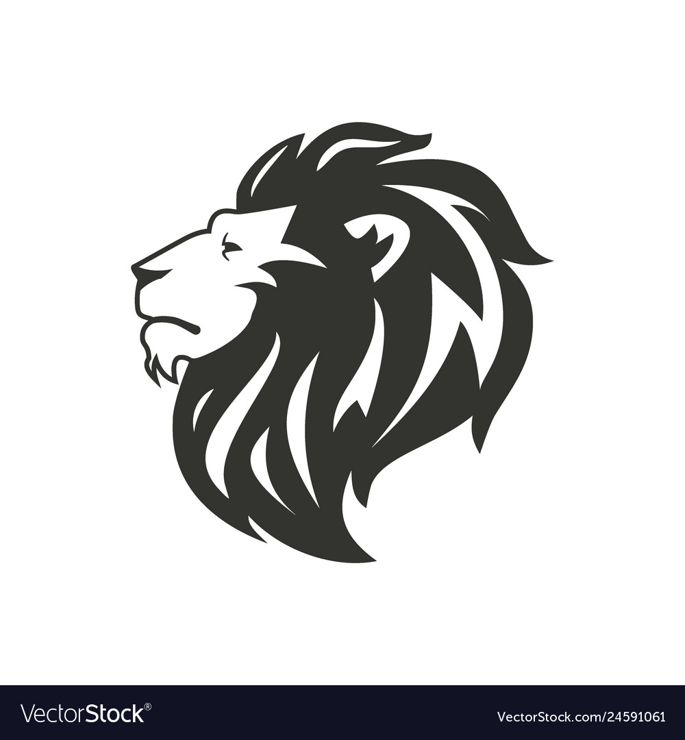 Detail Lion White Background Nomer 27