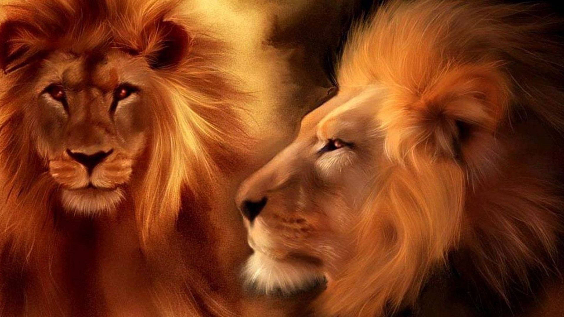 Detail Lions Images Hd Nomer 25