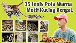 Detail Motif Kucing Bengal Nomer 38