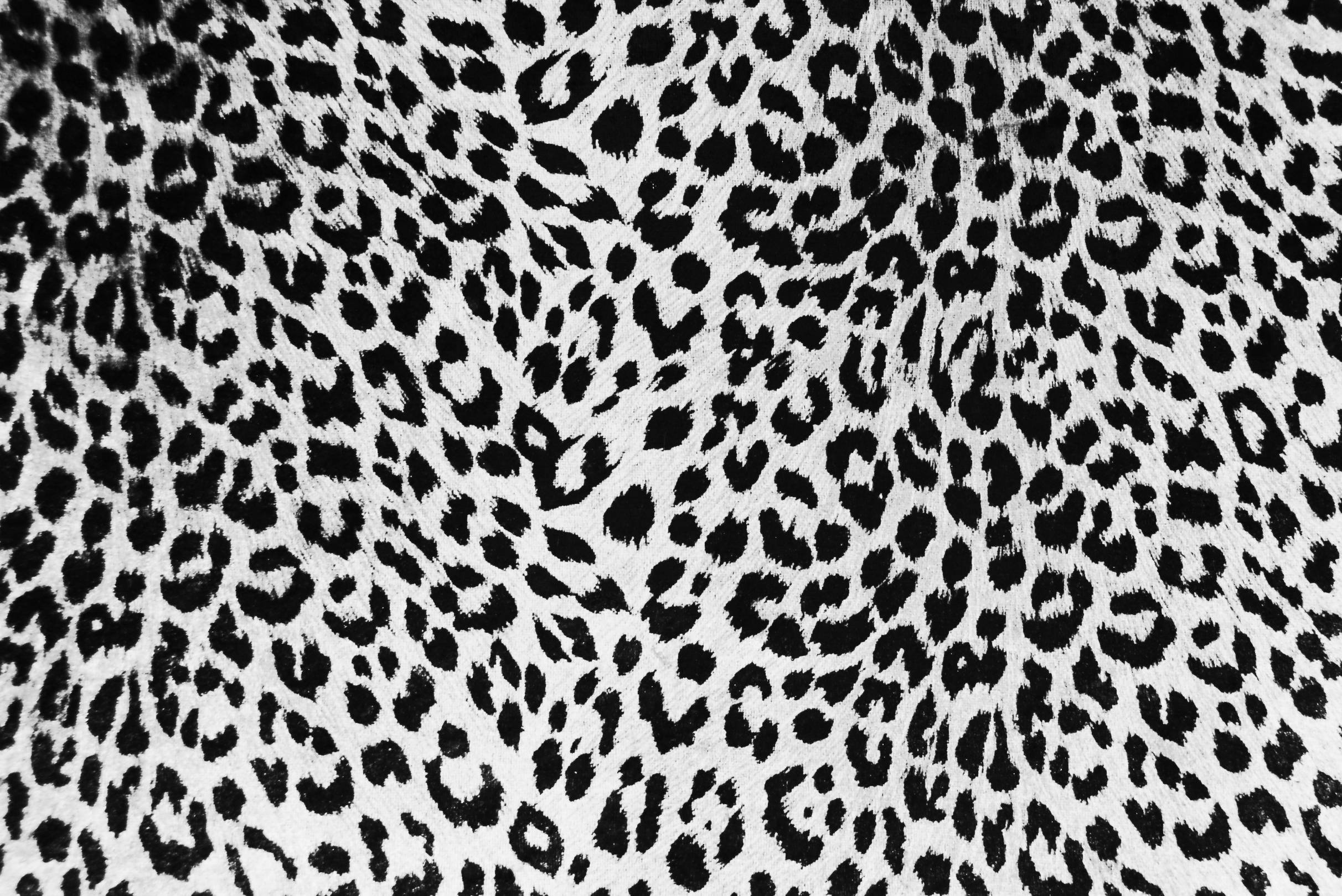 Detail Motif Leopard Wallpaper Nomer 28