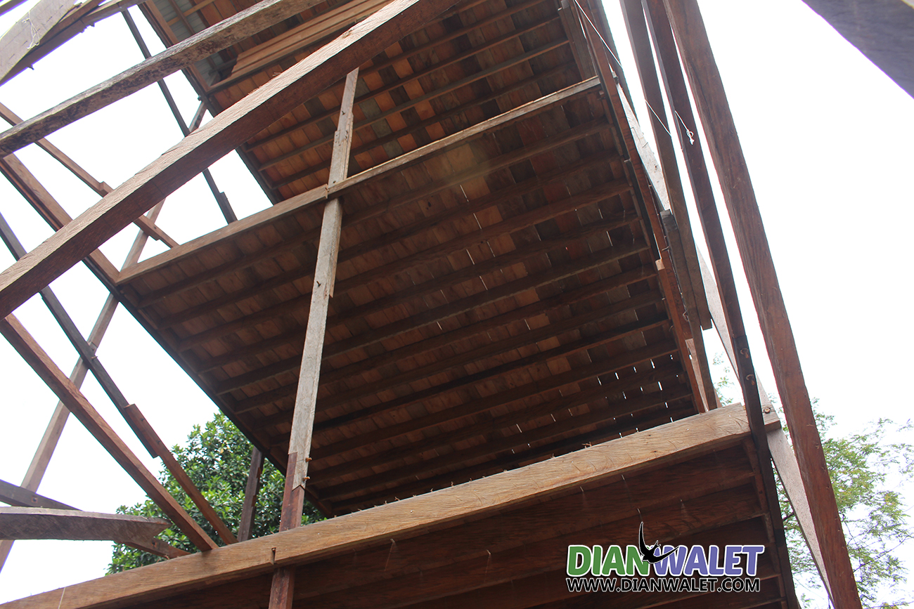 Detail Desain Rumah Walet Dari Kayu 4x6 Nomer 28