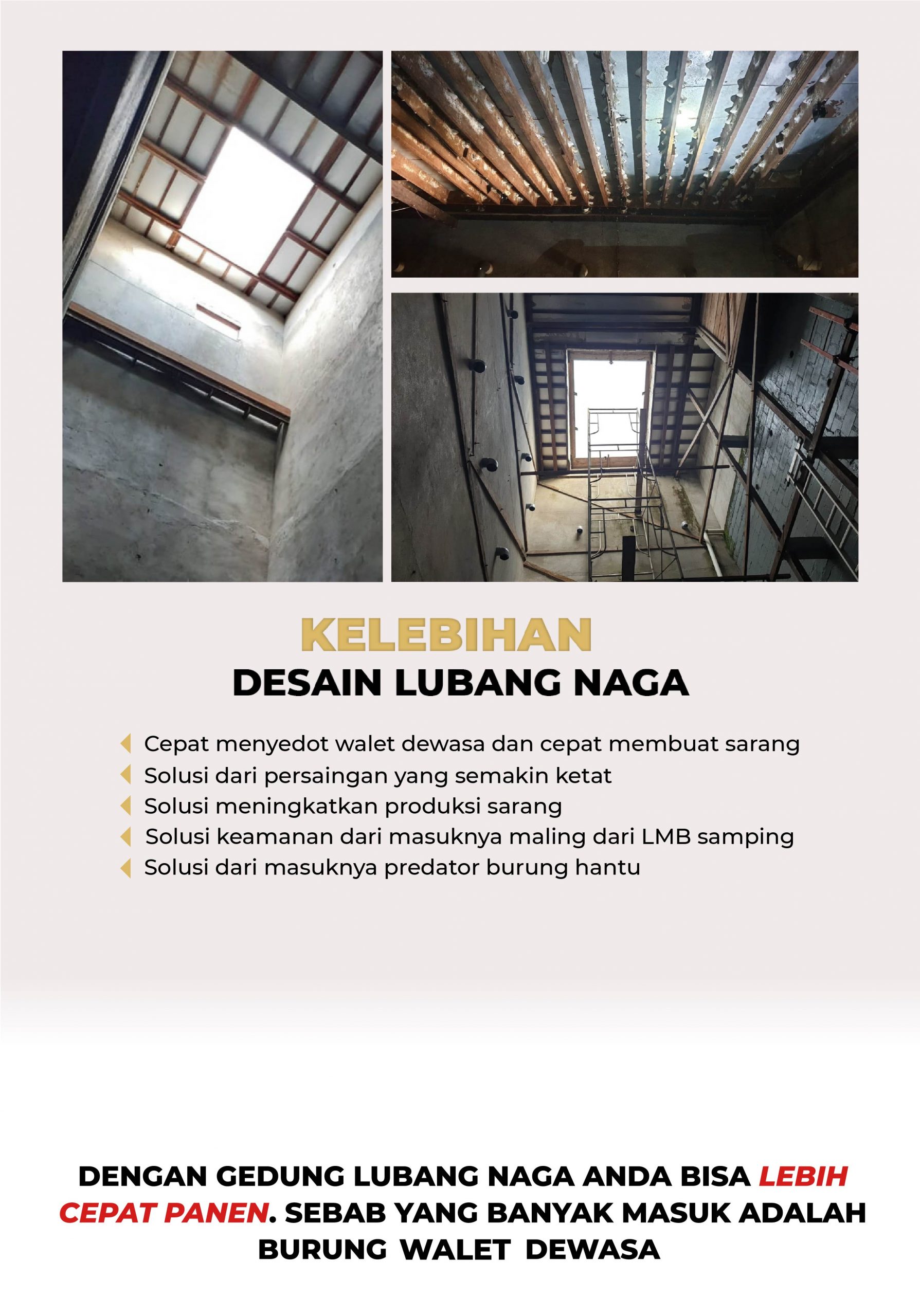 Detail Desain Rumah Walet Lubang Naga Nomer 10