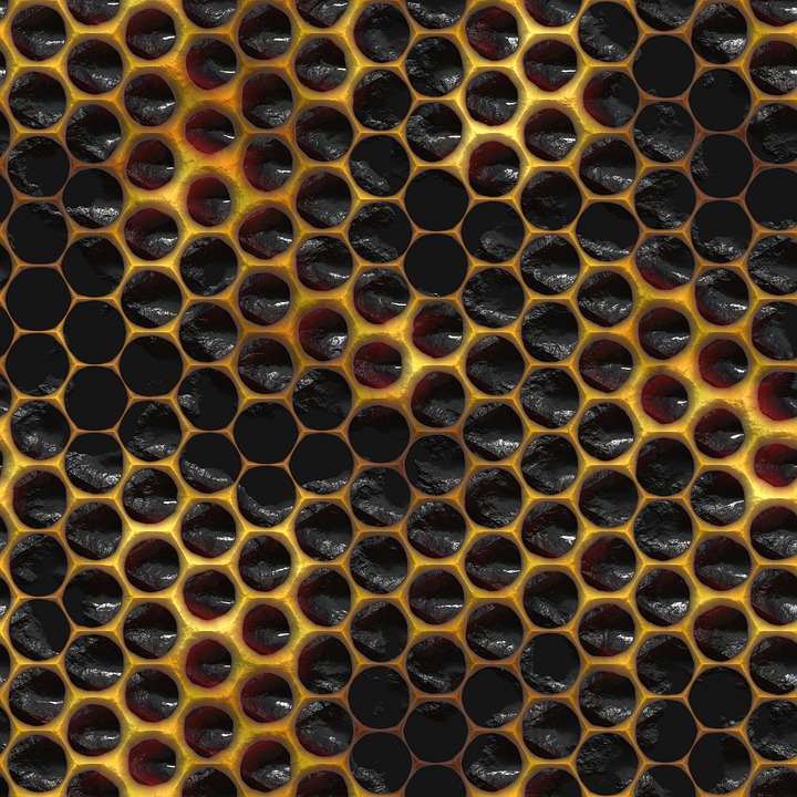 Detail Desain Sarang Lebah Nomer 26