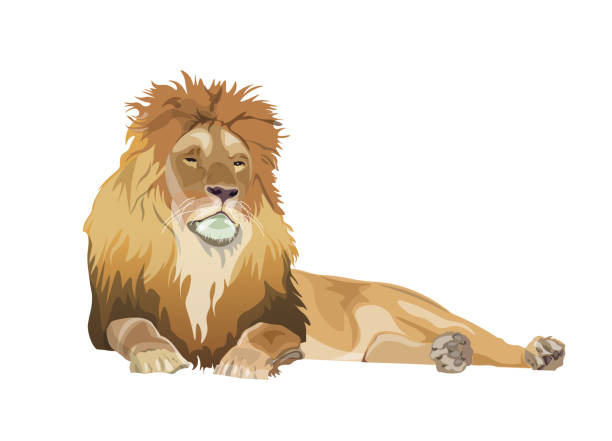 Detail Lions Vector Nomer 14