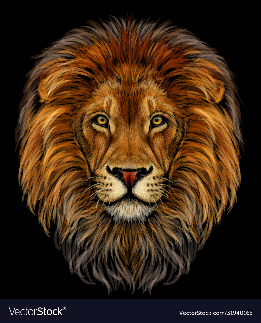 Detail Lions Vector Nomer 45