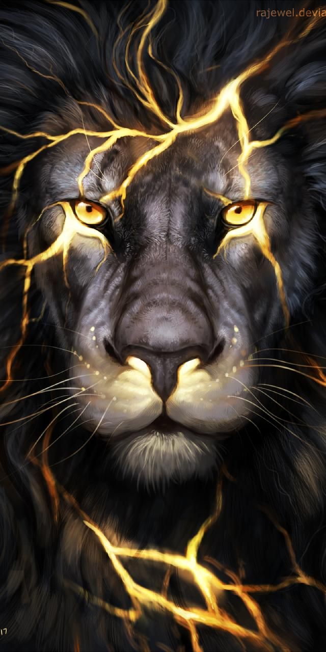 Detail Lions Wallpaper Free Nomer 14