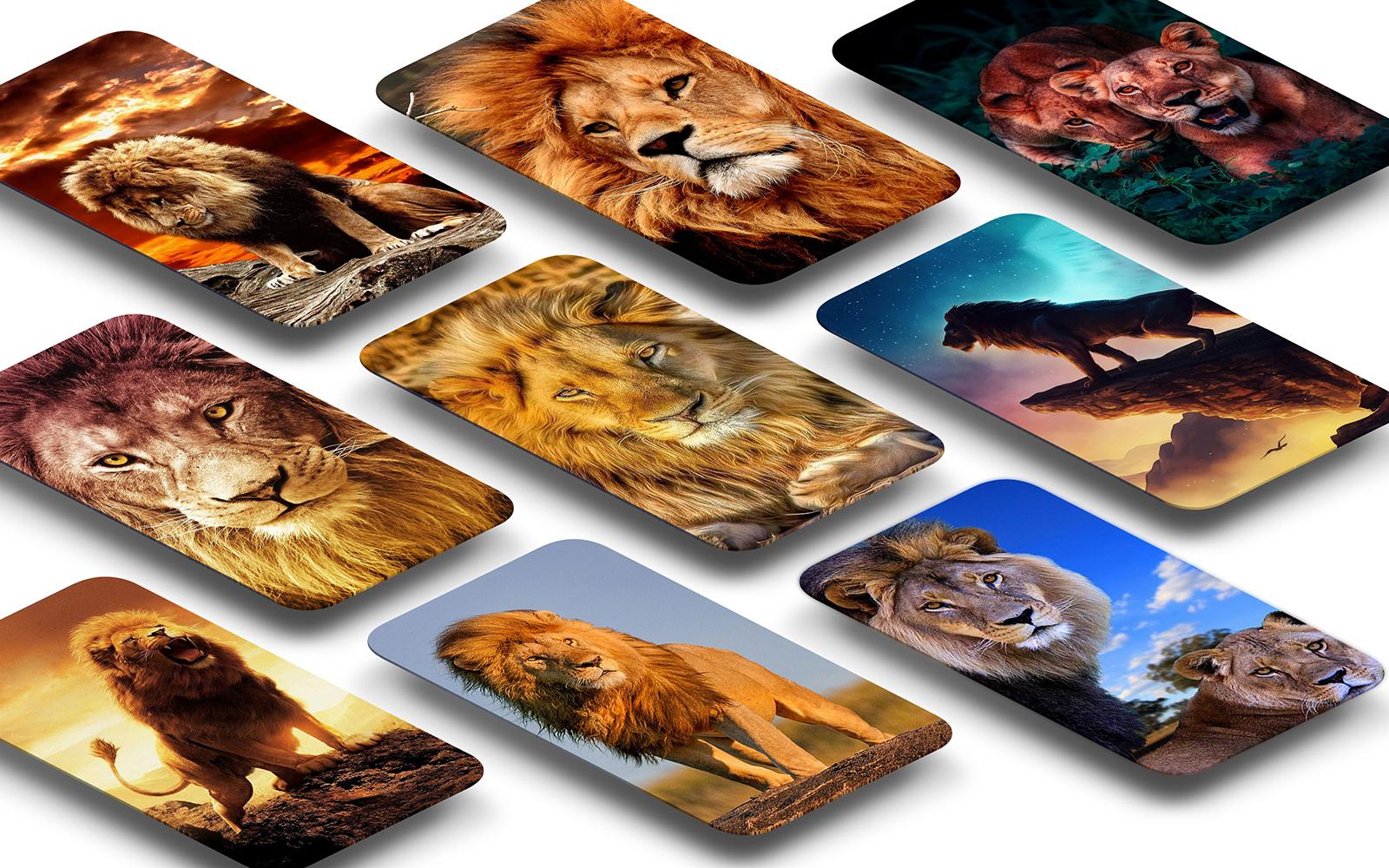 Detail Lions Wallpaper Free Nomer 53