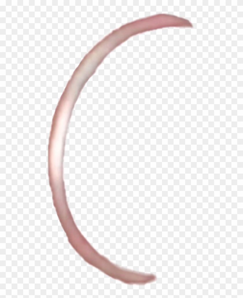 Detail Lip Ring Transparent Nomer 4
