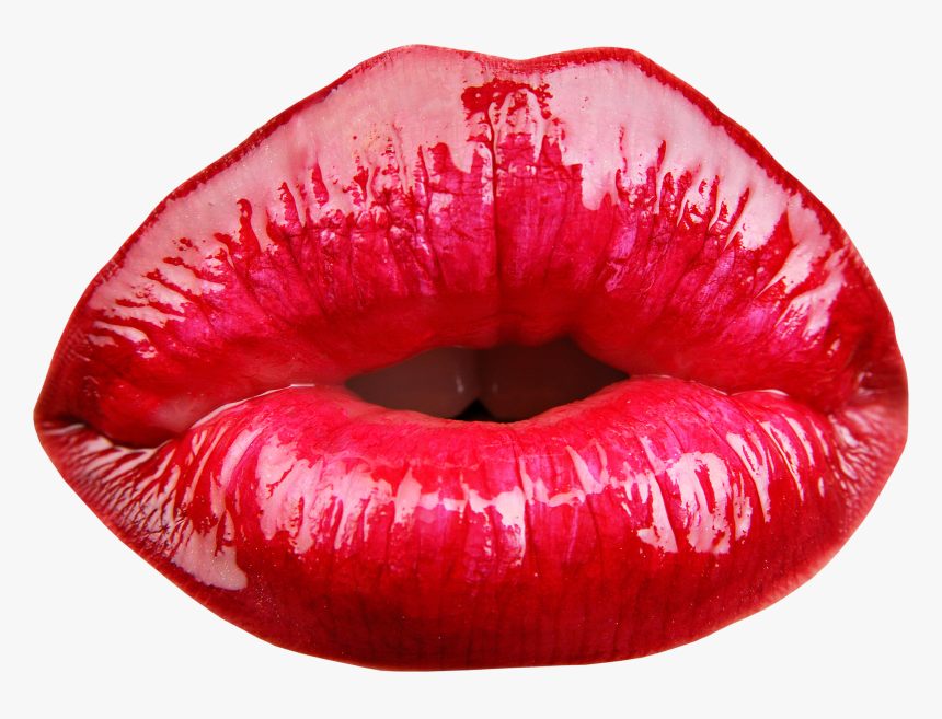 Detail Lips Transparent Nomer 16