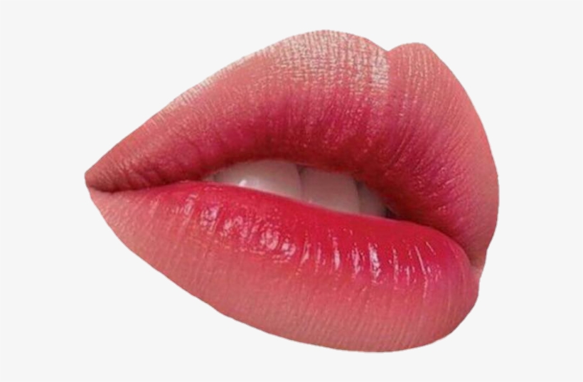 Detail Lips Transparent Nomer 40