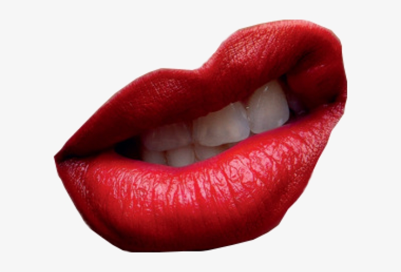 Detail Lips Transparent Nomer 8