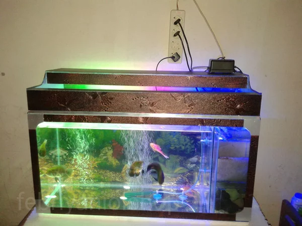 Detail Lis Kaca Aquarium Nomer 17